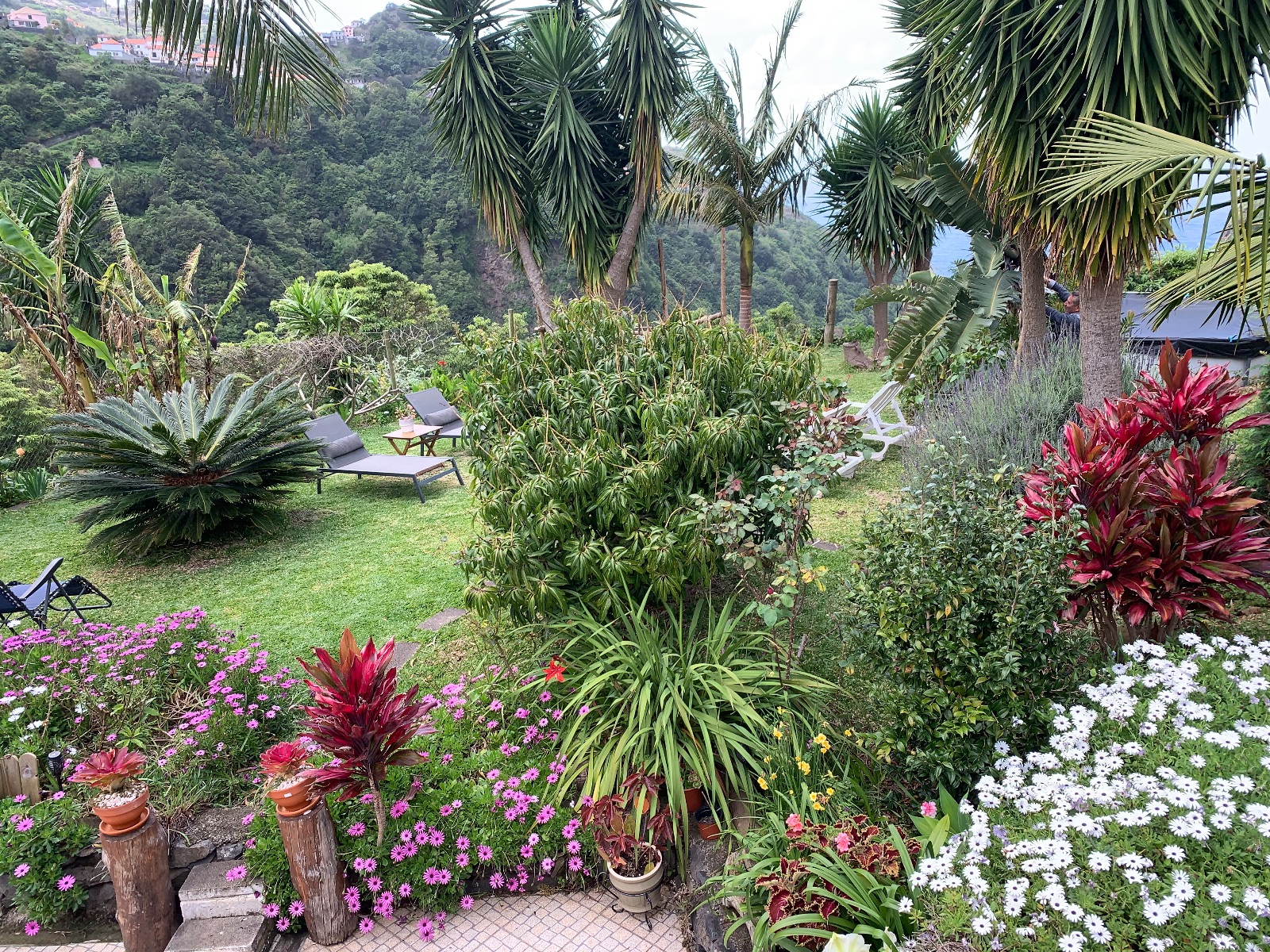 Vue jardin Vue jardin