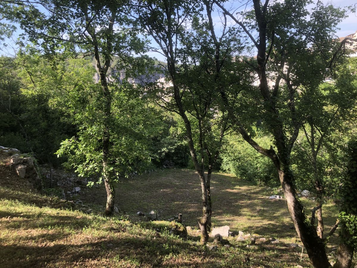 Un jardin de chênes, en terrasses appelées ici en Ardèche du Sud faïsses