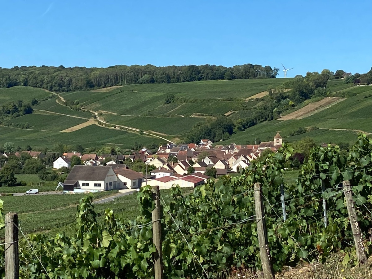 Village dans les vignes 