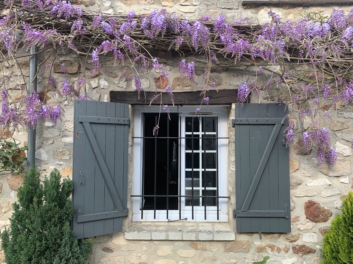 La Glycine La Glycine