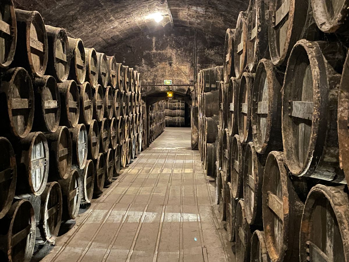 De nombreuses exploitations  visiter aux alentour pour dcouvrir l'univers du cognac. Ici les caves du chateau de Cognac.