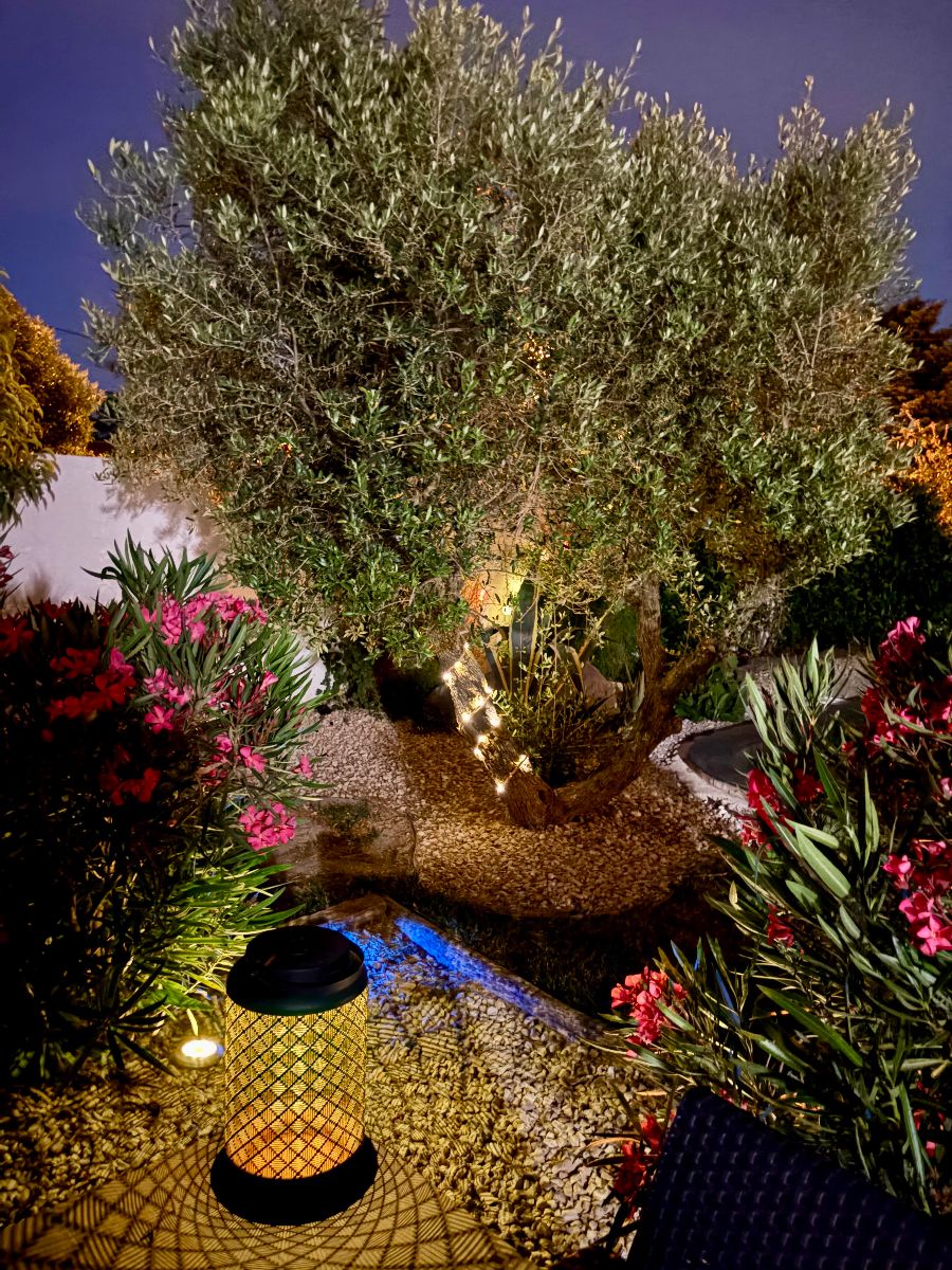 Olivier 2 Jardin - Villa de l'Etang