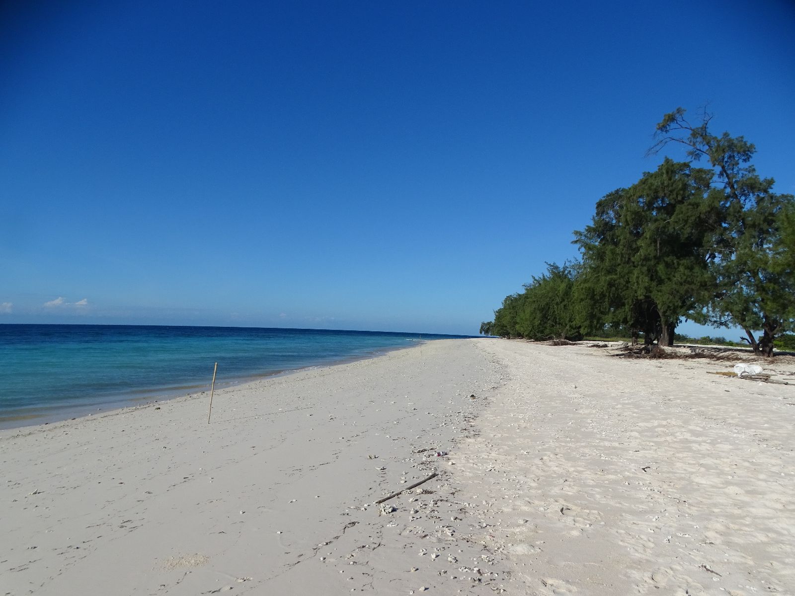 Or a deserted beach that only we know about?