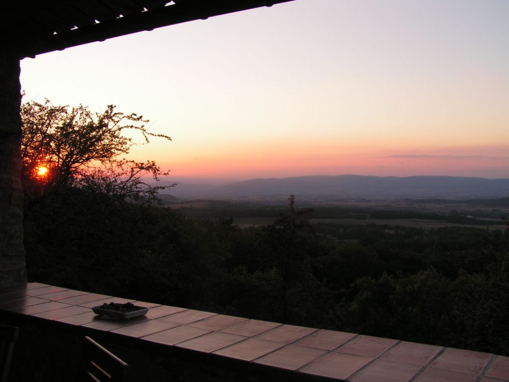 Soire de la terrasse de l'Olivier