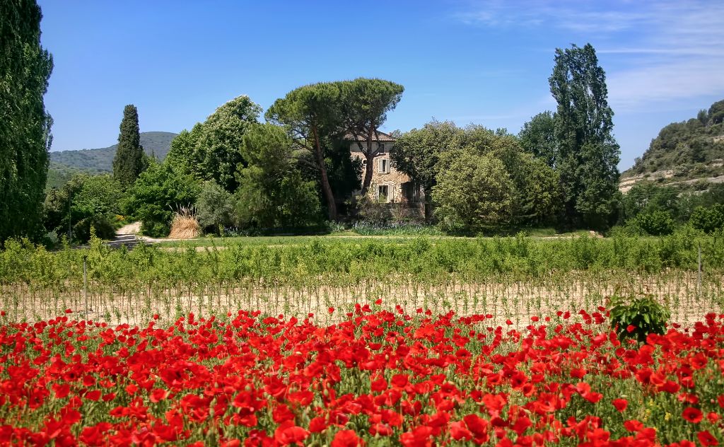 Façade Est du Prieuré La Madelène Façade Est du Prieuré La Madelène