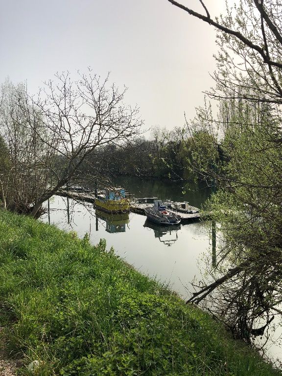 A 100m  pied, balade sur bras de seine