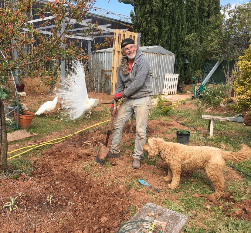 Stephen jardine avec l'aide d'Albert le goldendoodle