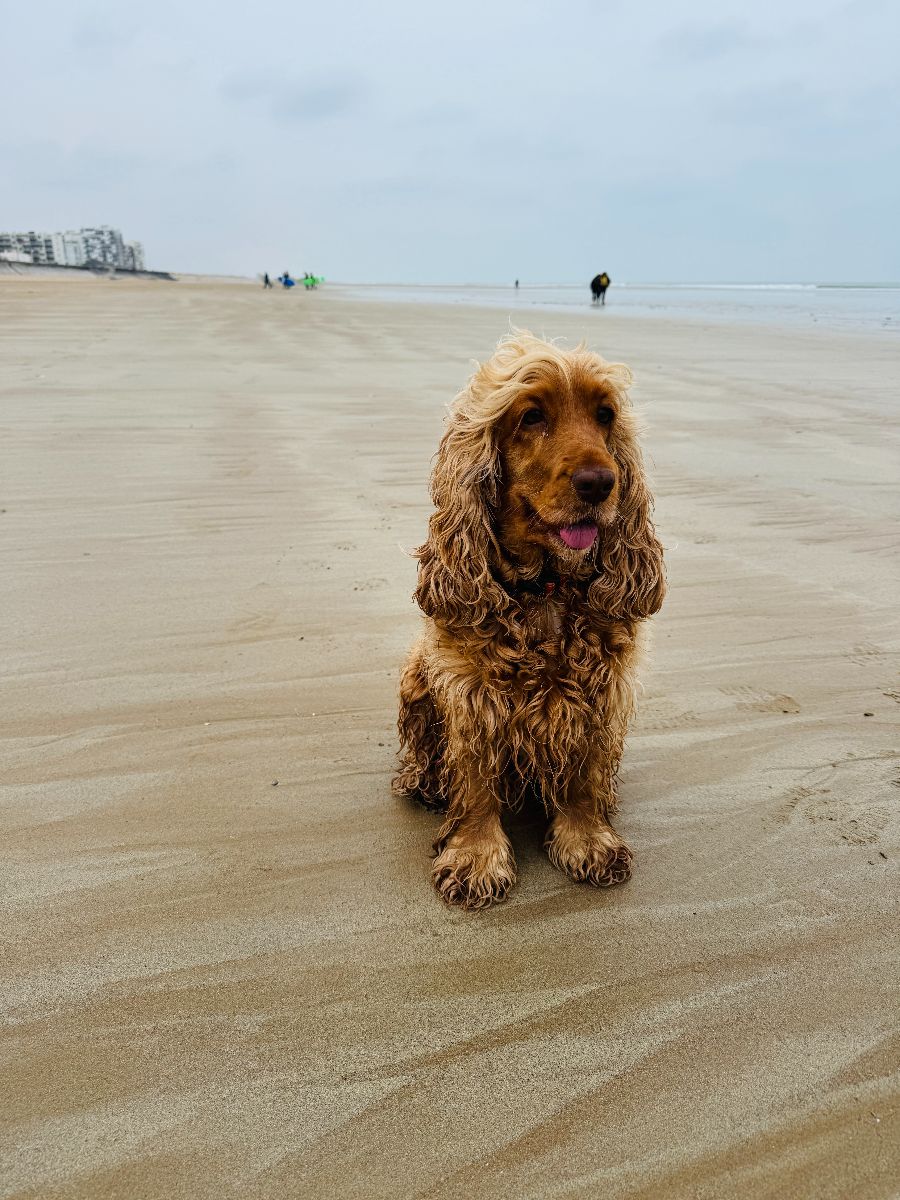 RUMBA : LA SEULE FILLE DE LA MAISON !