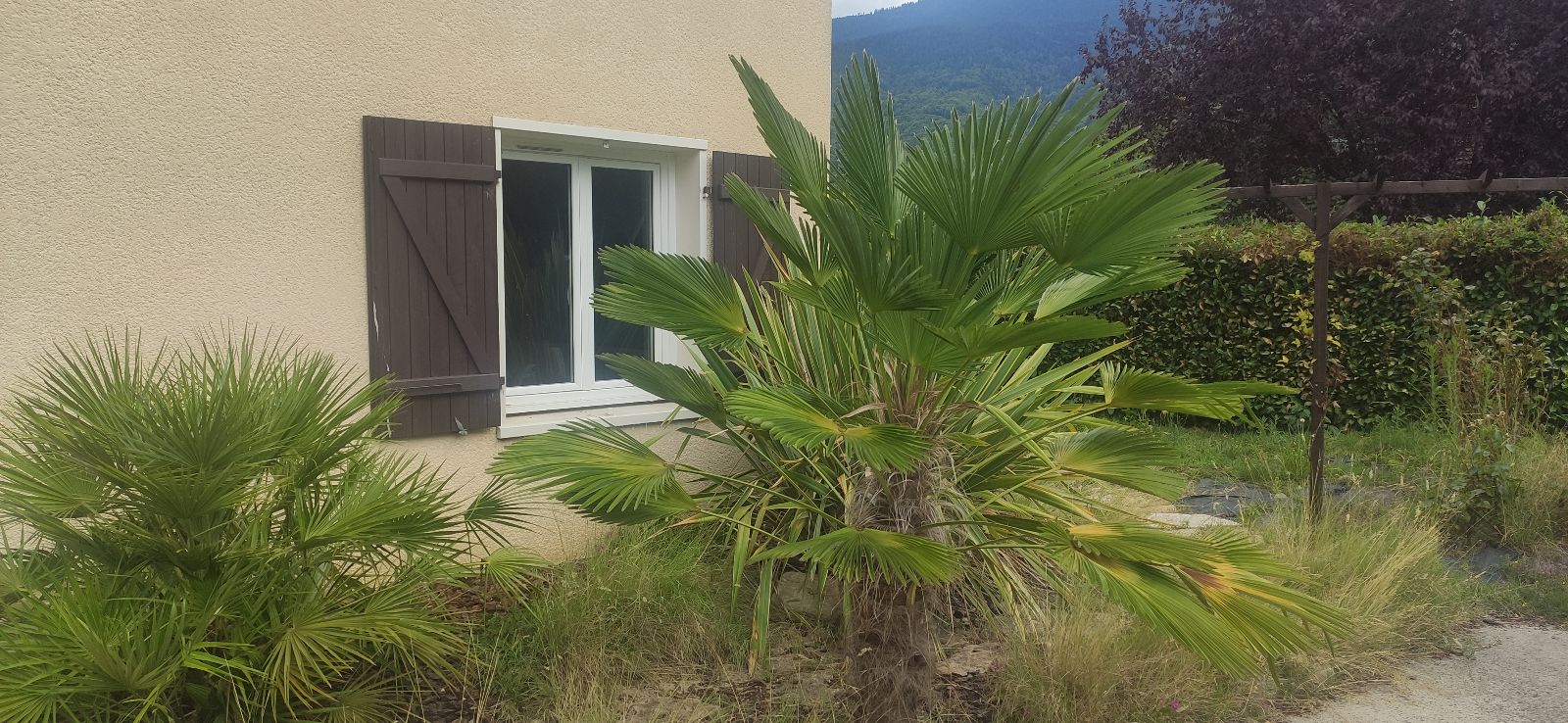 La fentre de la chambre (depuis la piscine)