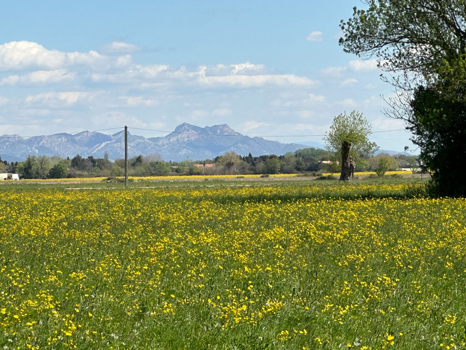 Vue sur les Alpilles au printemps Vue sur les Alpilles au printemps