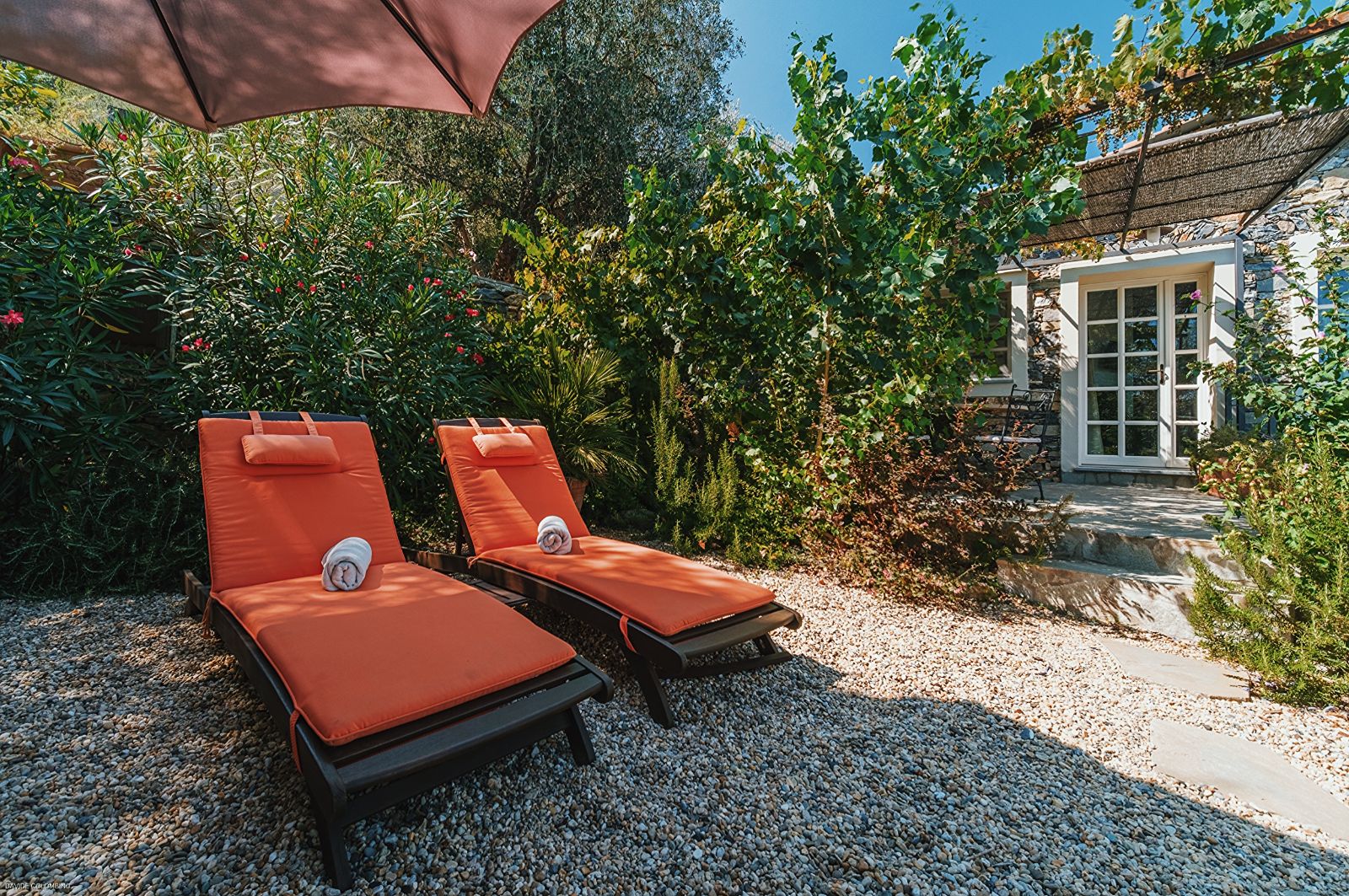 VILLA BARCA - IL ROSMARINO (FORESTERIA) VILLA BARCA - IL ROSMARINO (FORESTERIA)