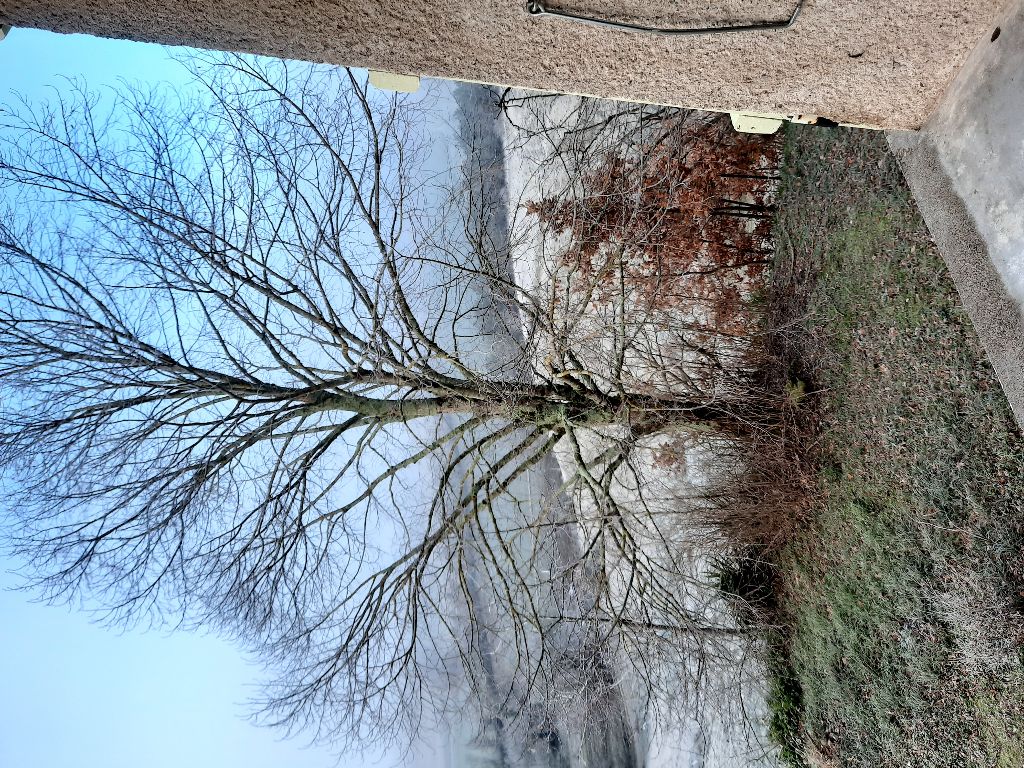 En hiver.... En hiver....