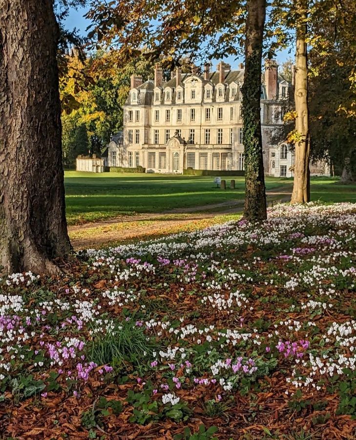Vue château de l'allée d'entrée Vue château de l'allée d'entrée