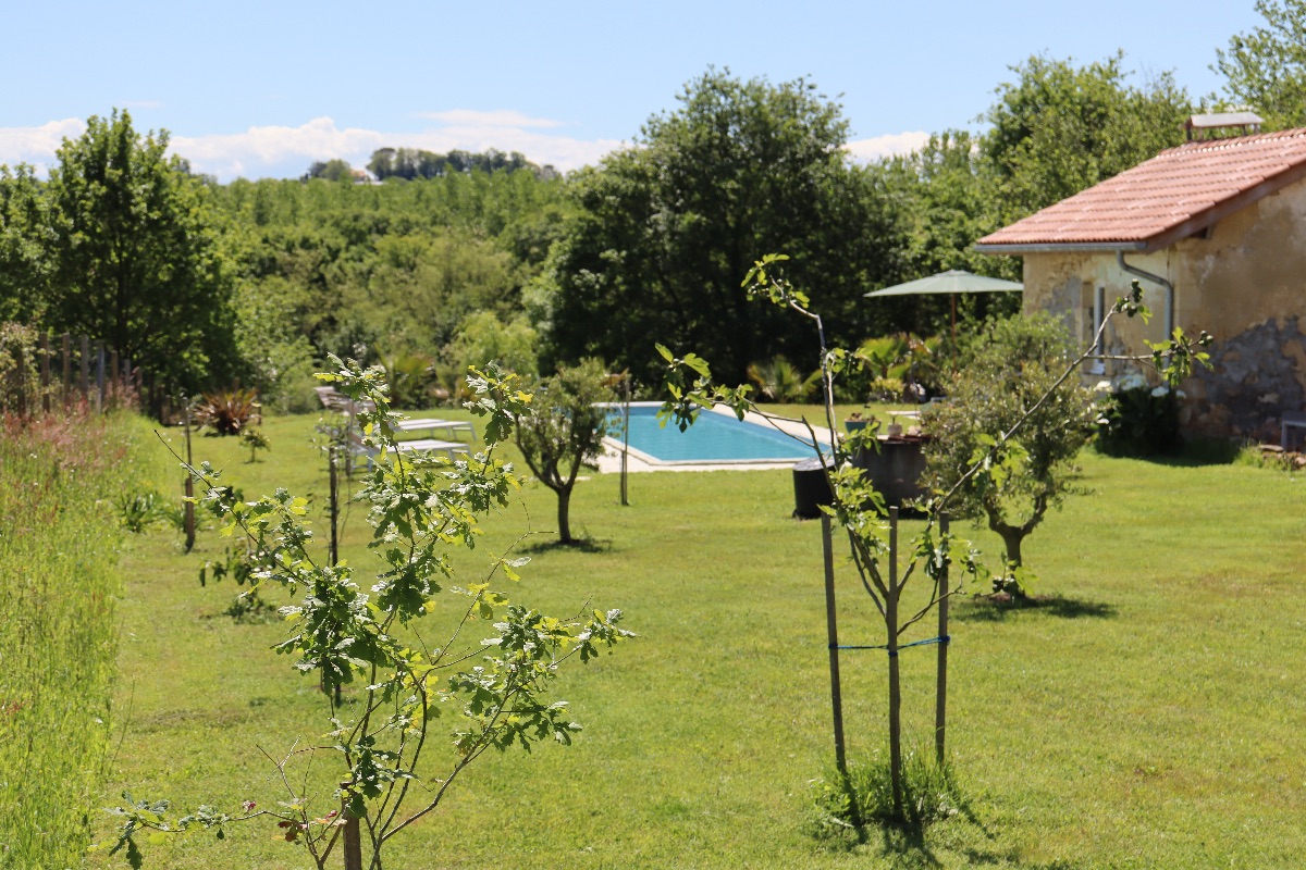 Parc et couloir de nage 