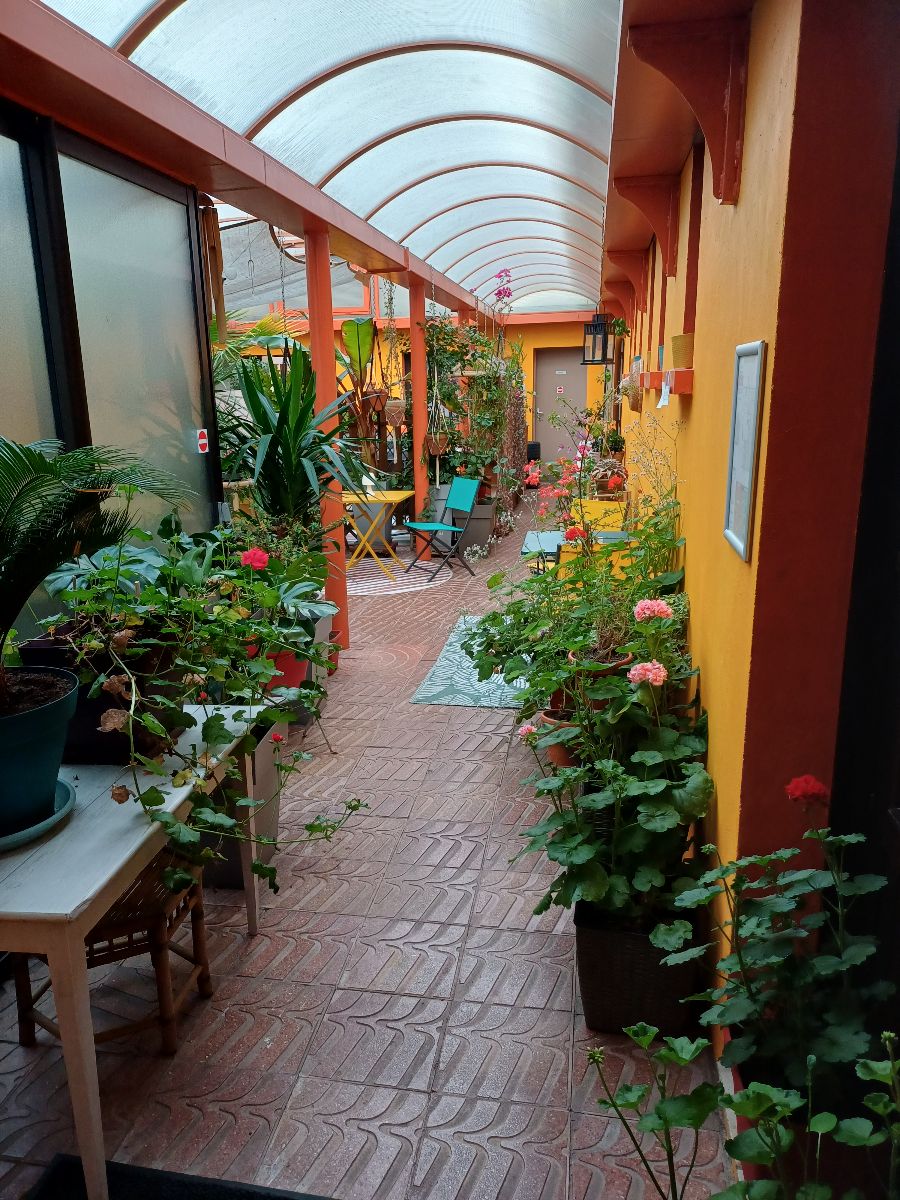 le patio