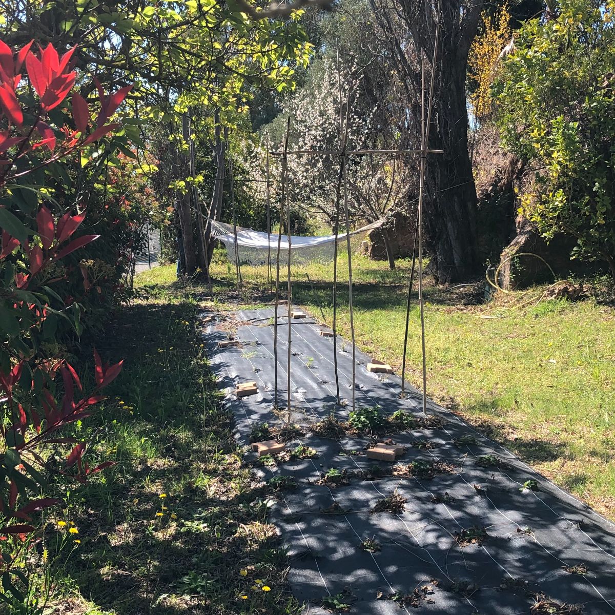 Jardin et son coin potager