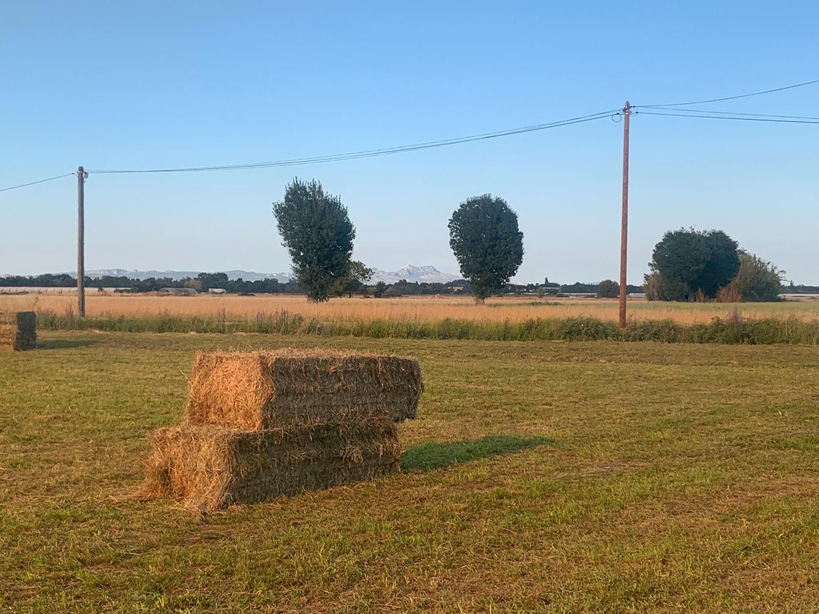 Moisson & Foins de crau AOP l'été Moisson & Foins de crau AOP l'été
