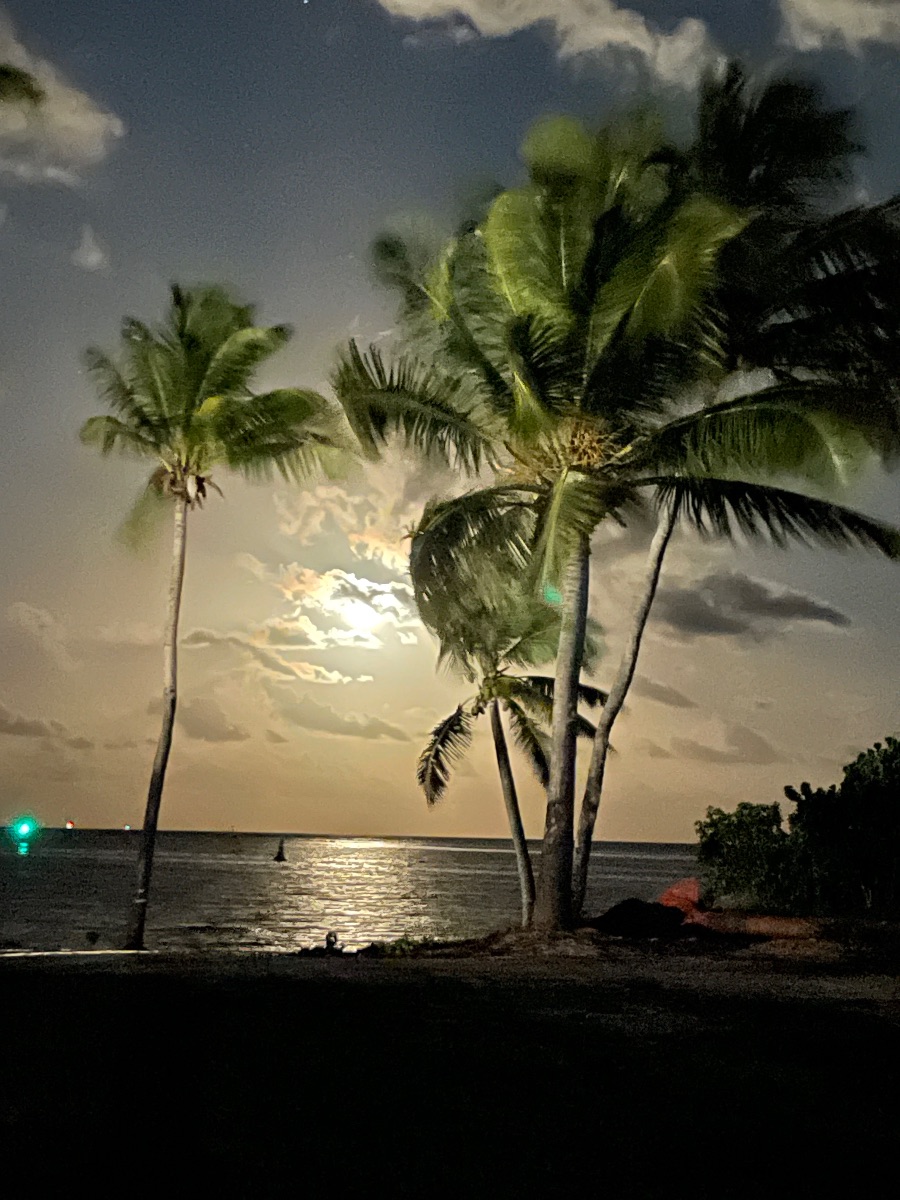 Depuis les jardins du Savannah au clair de lune sur le lagon. 