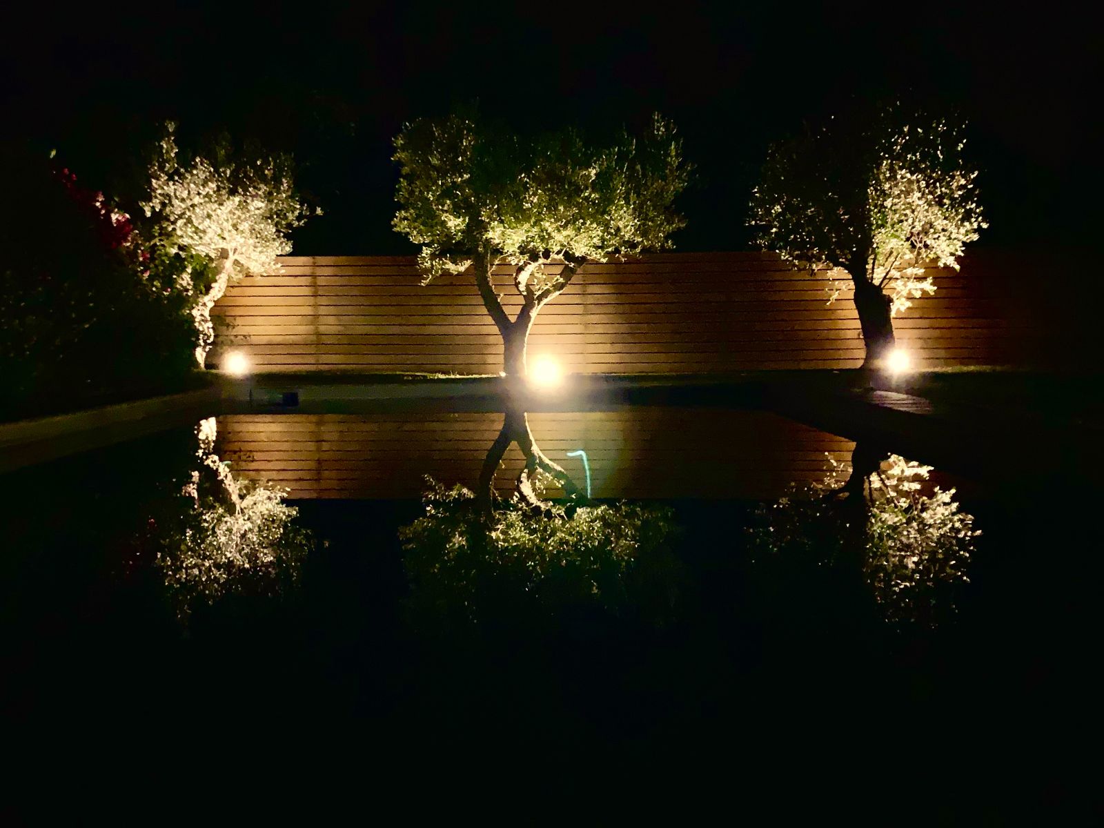 Oliviers piscine gite du clos des aspres