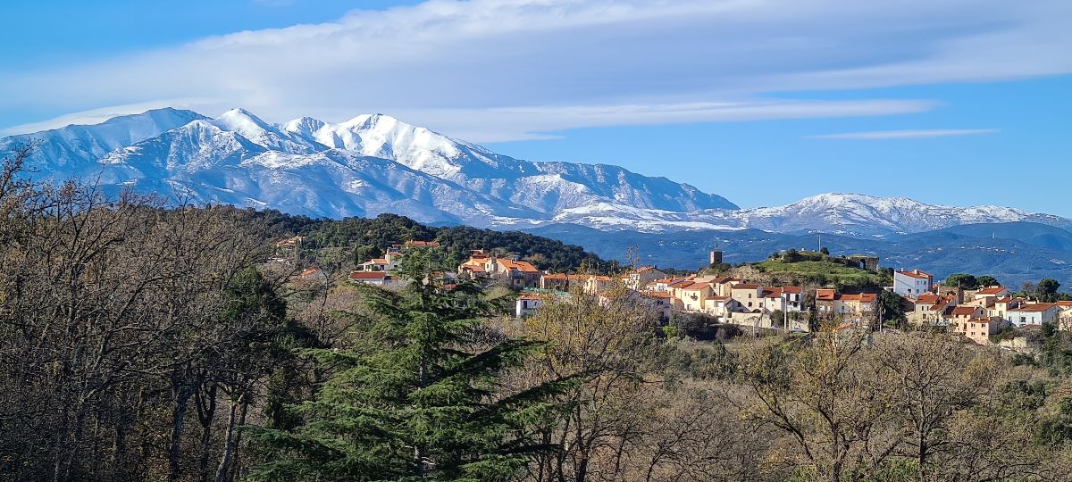 Montesquieu des Albères et le Canigou Montesquieu des Albères et le Canigou