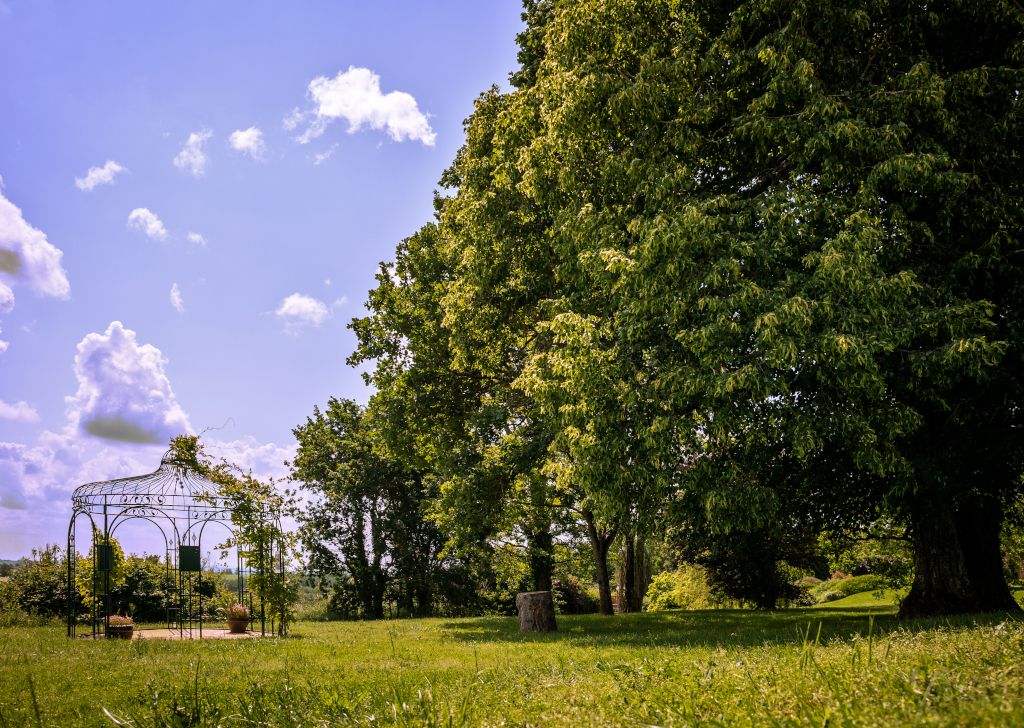 Les chênes centenaires Les chênes centenaires