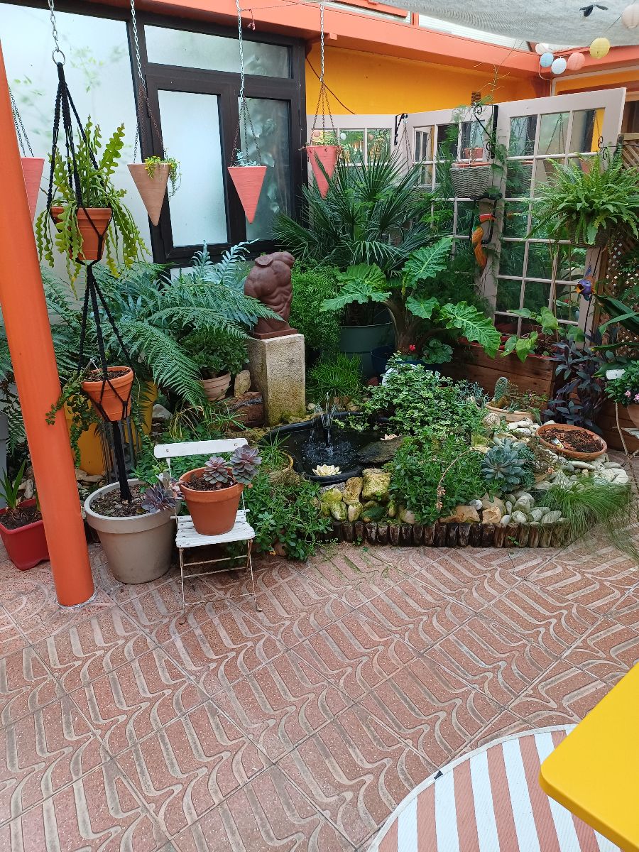 le patio