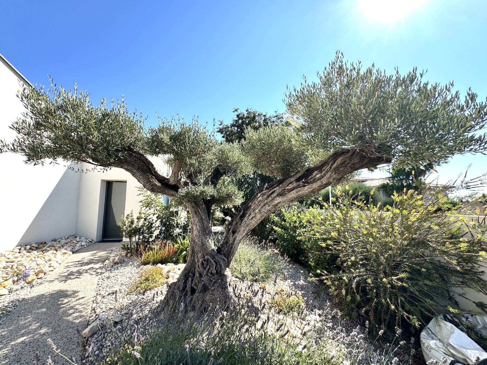 Villa Balāo - Jardin mditerranen