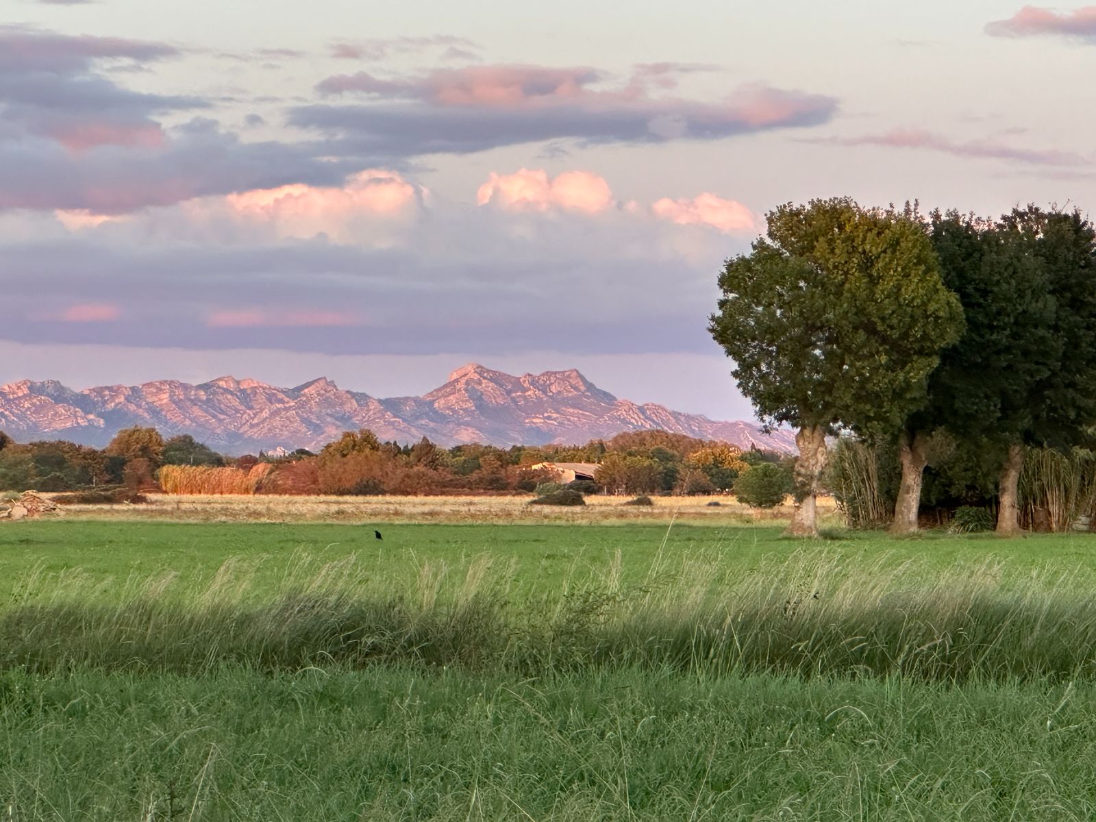 Vue sur les Alpilles à l'Automne Vue sur les Alpilles à l'Automne