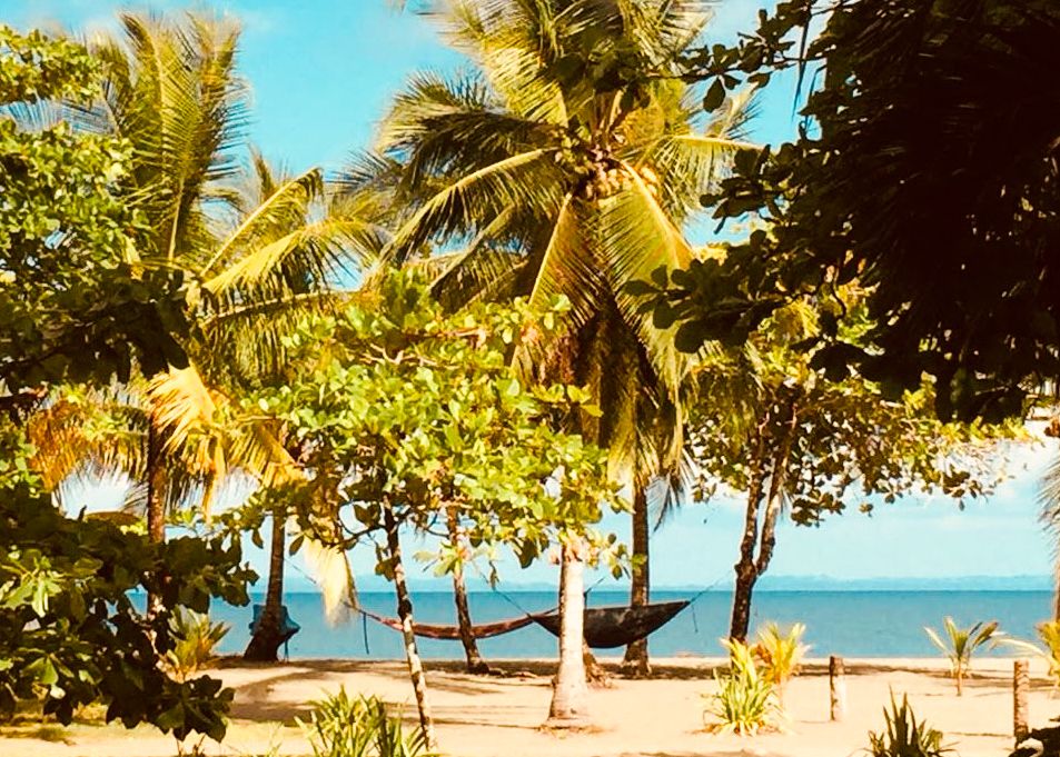 La plage et notre salon de hamacs devant la maison La plage et notre salon de hamacs devant la maison