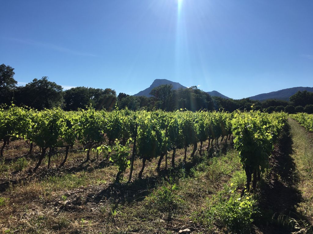 Tres près de chez nous Tres près de chez nous