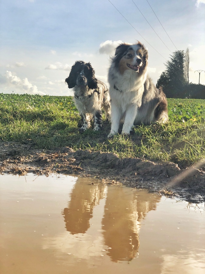 Isha et Lucass Isha et Lucass