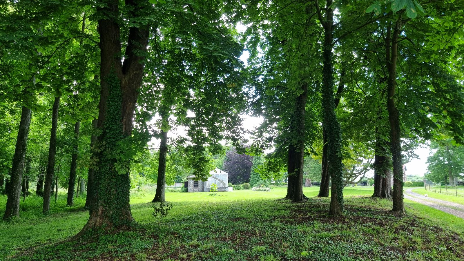 Le parc du Domaine Le parc du Domaine