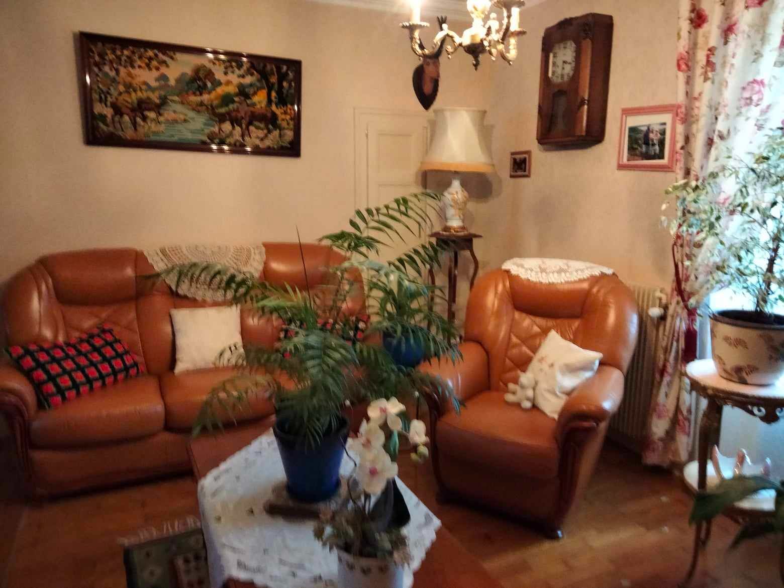 Petit coin Salon Salle de séjour Petit coin Salon Salle de séjour