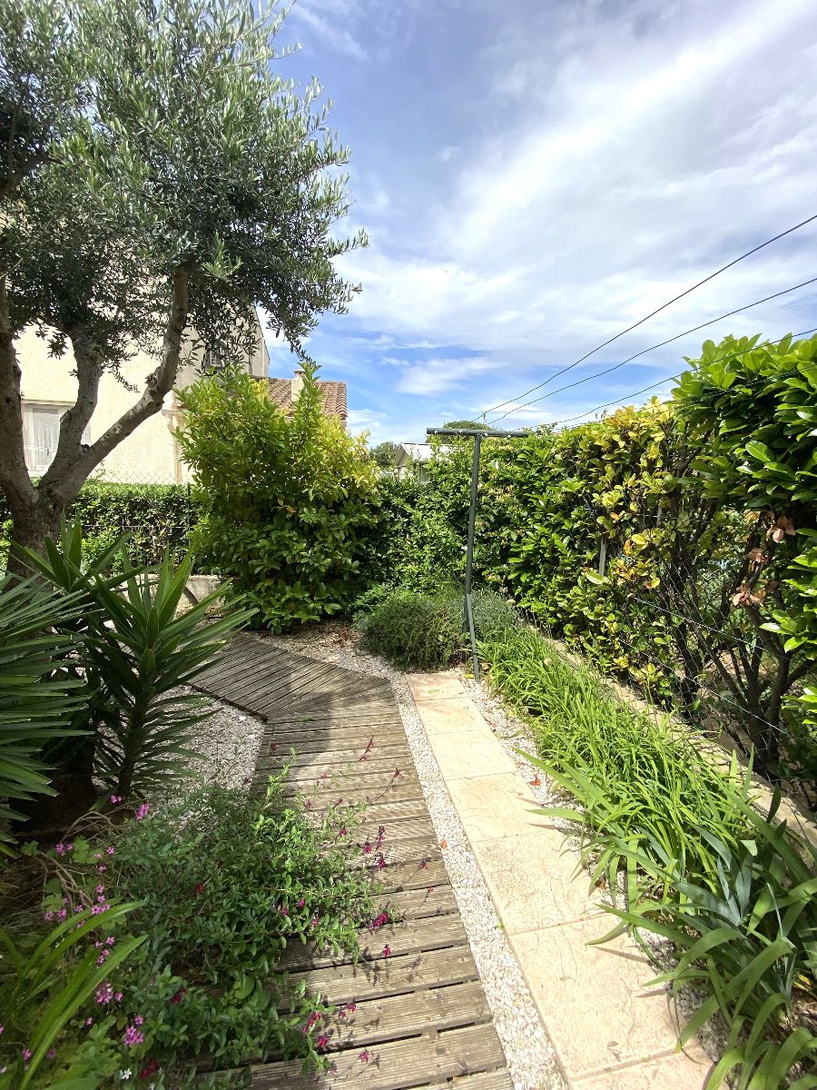 le jardin sur le coté de la maison le jardin sur le coté de la maison