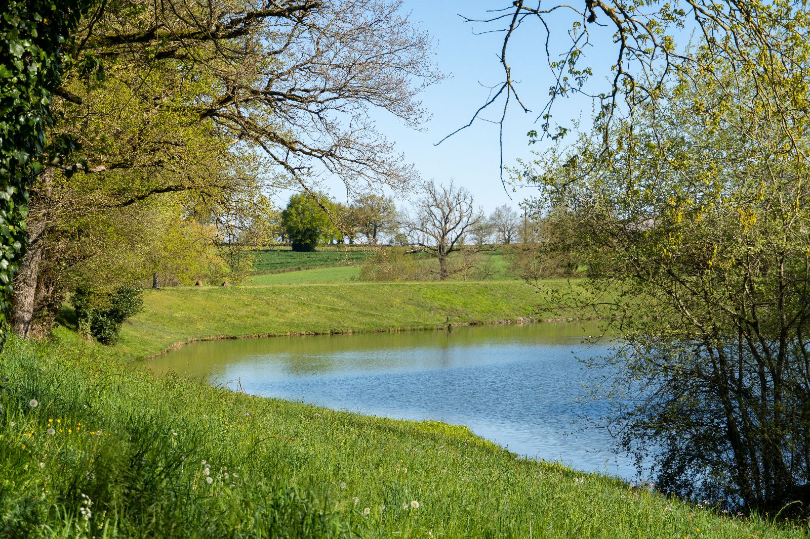 Le lac accessible a quelques minutes à pieds Le lac accessible a quelques minutes à pieds