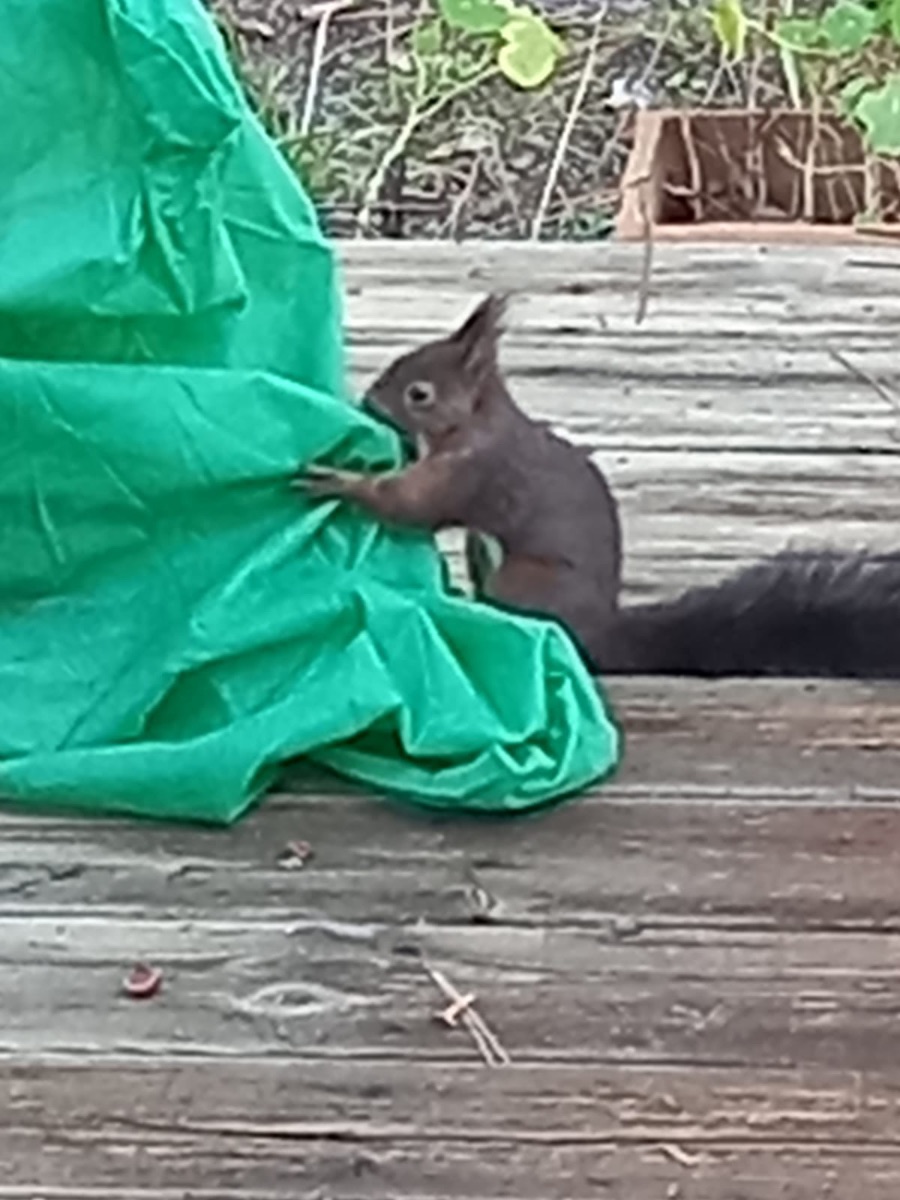 Découverte Découverte