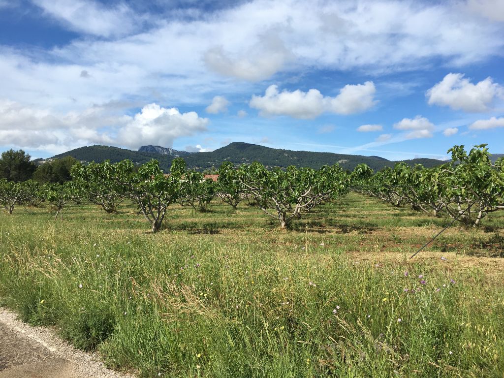 Aux alentours de chez nous Aux alentours de chez nous