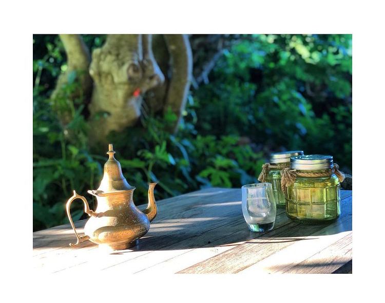 sous le figuier sous le figuier