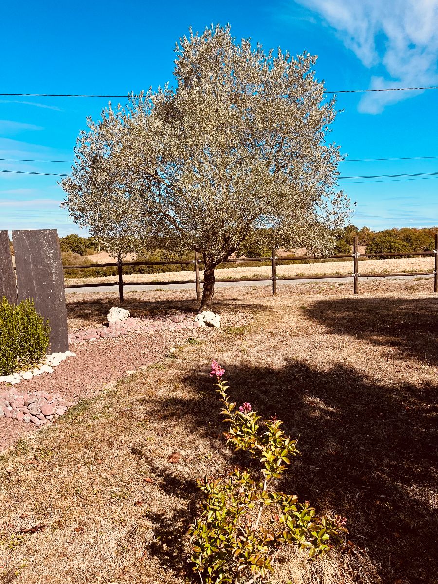 jardin olivier jardin olivier
