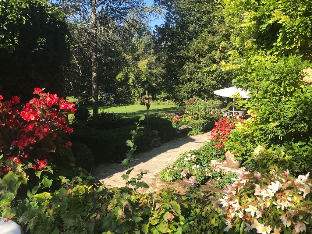 looking over the garden