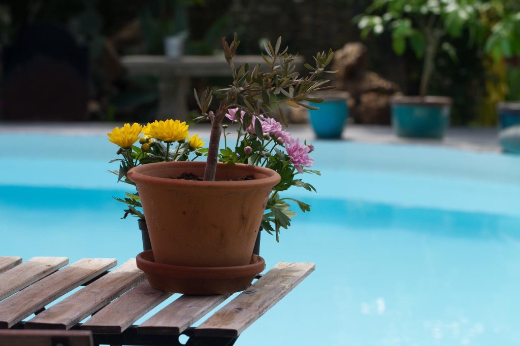 Piscine Inn4Bears Piscine Inn4Bears