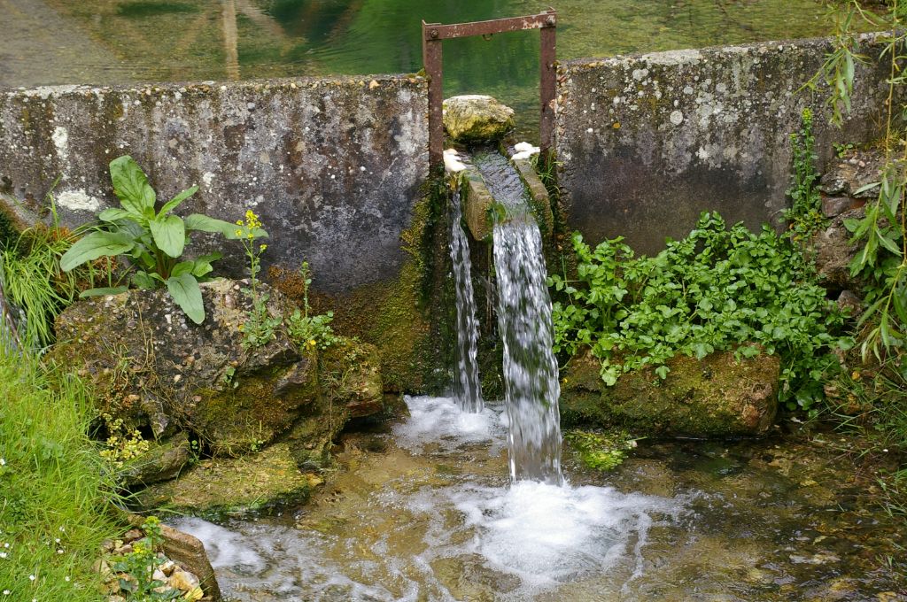 La chute d'eau de la source dans le jardin