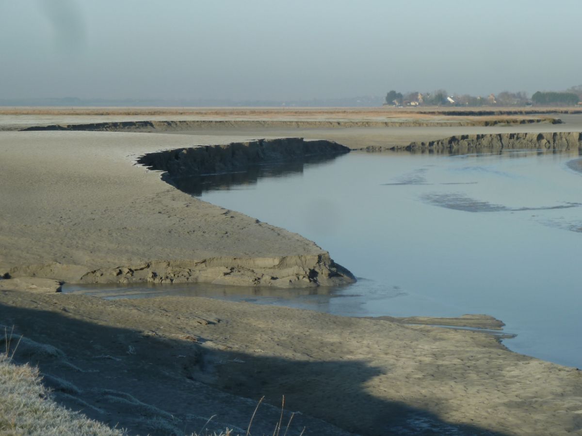 brume d'hiver dans la baie du Mont -Saint-Michel brume d'hiver dans la baie du Mont -Saint-Michel
