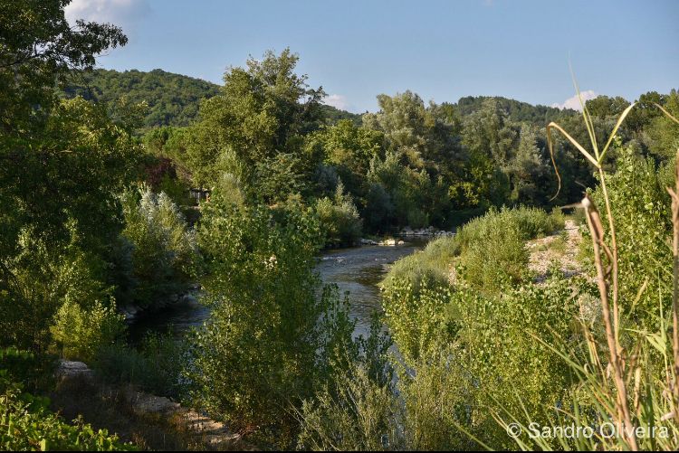VUE SUR LE FLEUVE VUE SUR LE FLEUVE
