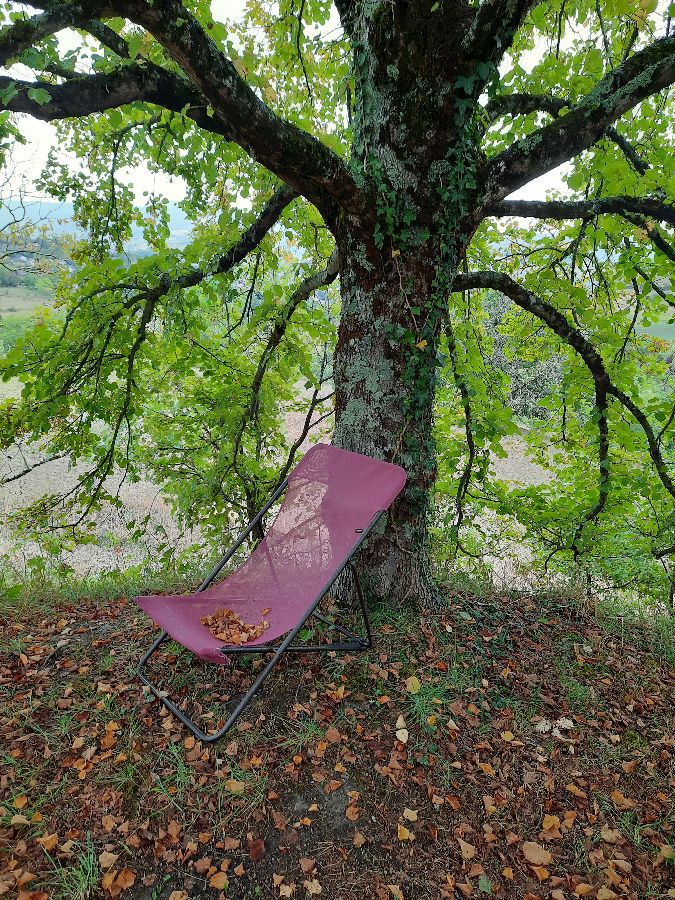 Ombre sous les tilleuls! Ombre sous les tilleuls!