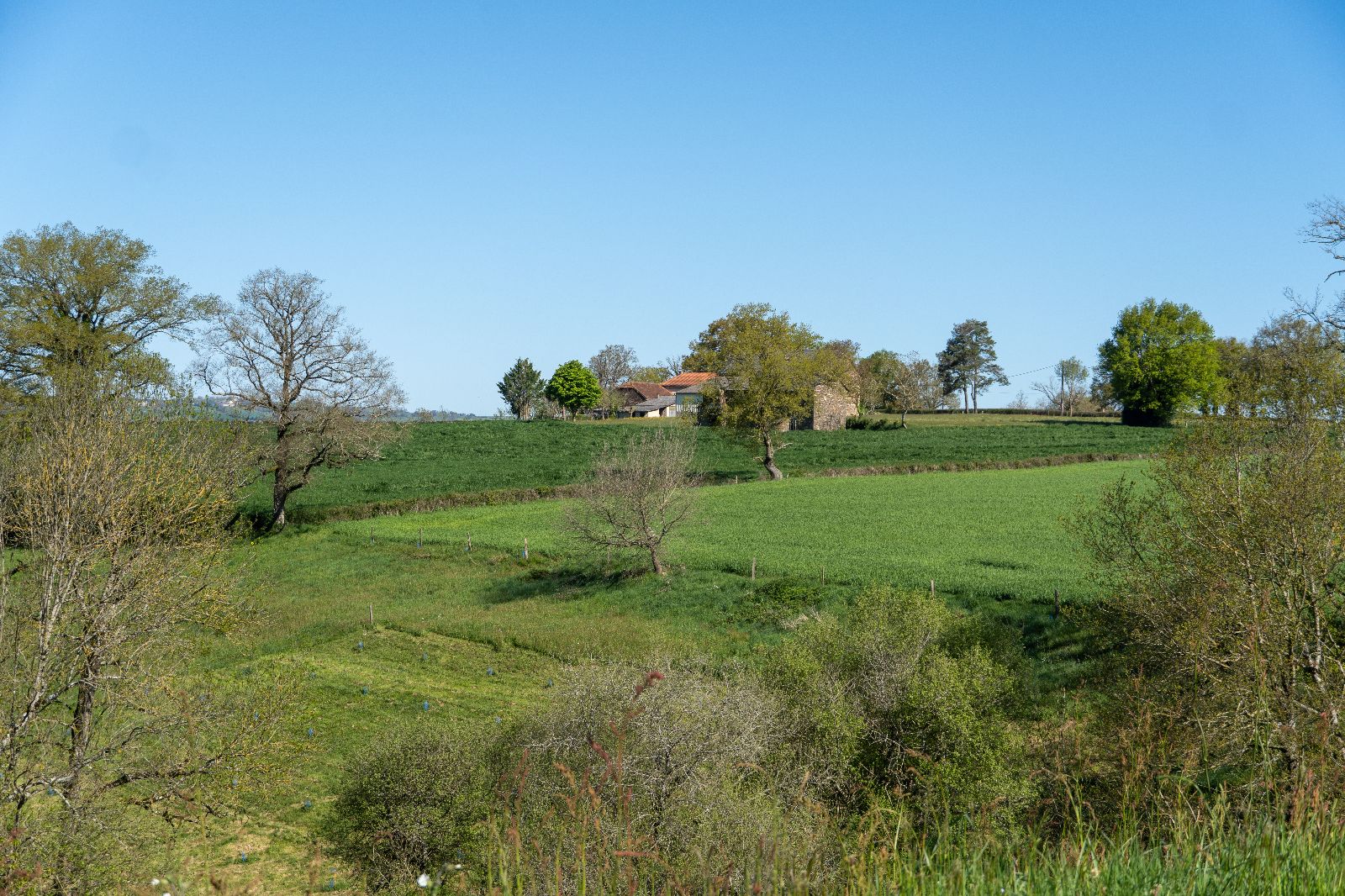 un paysage proche un paysage proche