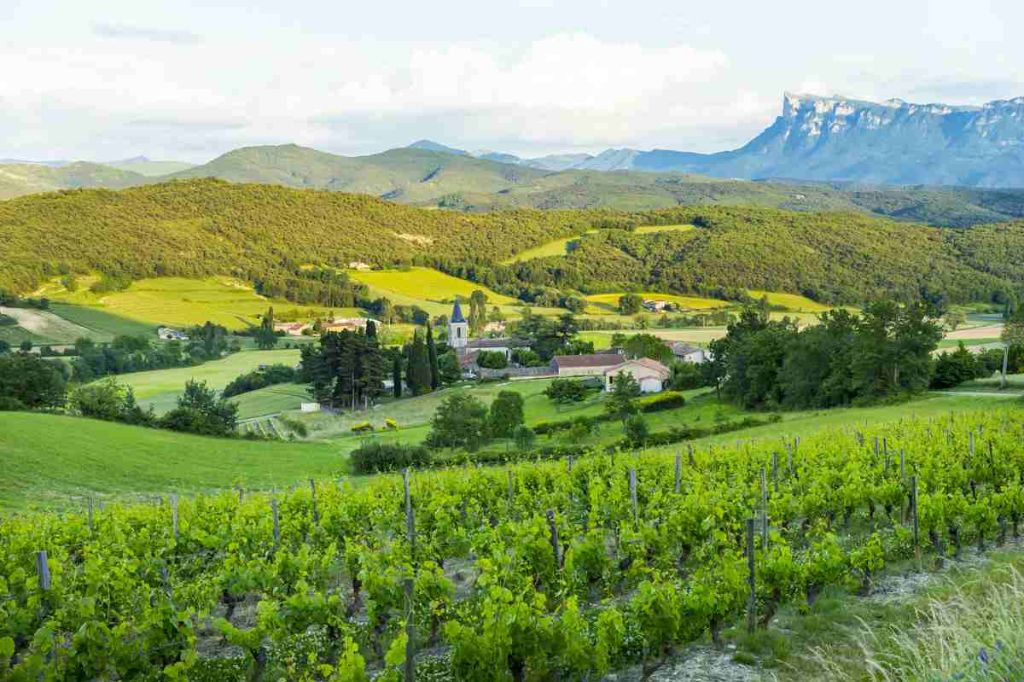 Paysage de la vallée de la Drôme et du domaine 