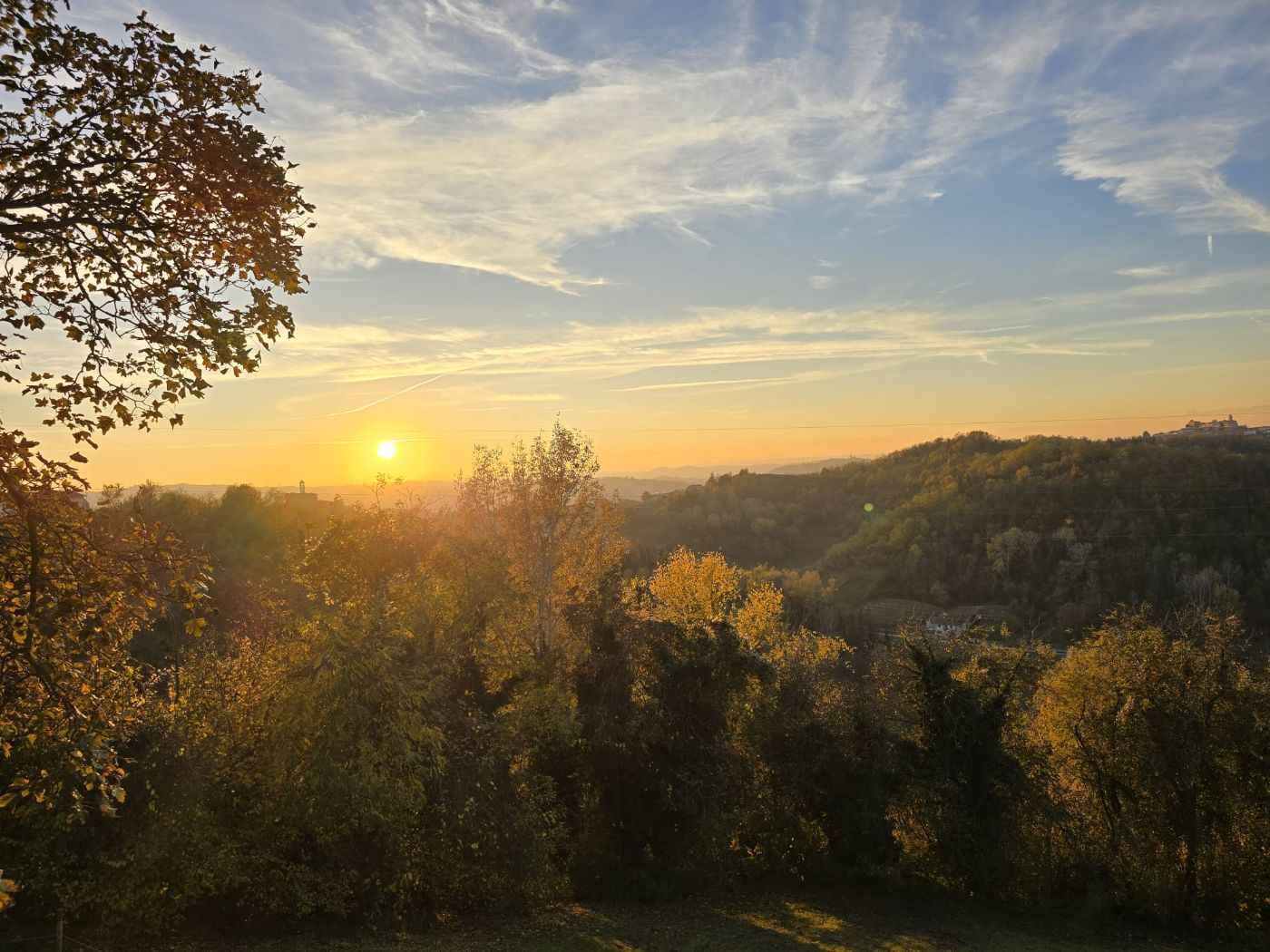 View from the pool View from the pool