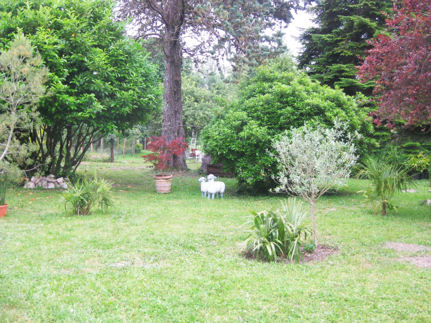 Coté jardin Coté jardin