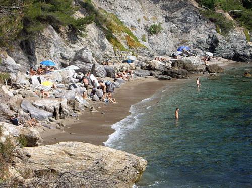 Plage du Monaco Plage du Monaco